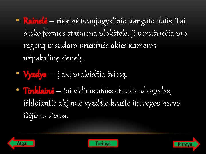  • Rainelė – riekinė kraujagyslinio dangalo dalis. Tai disko formos statmena plokštelė. Ji
