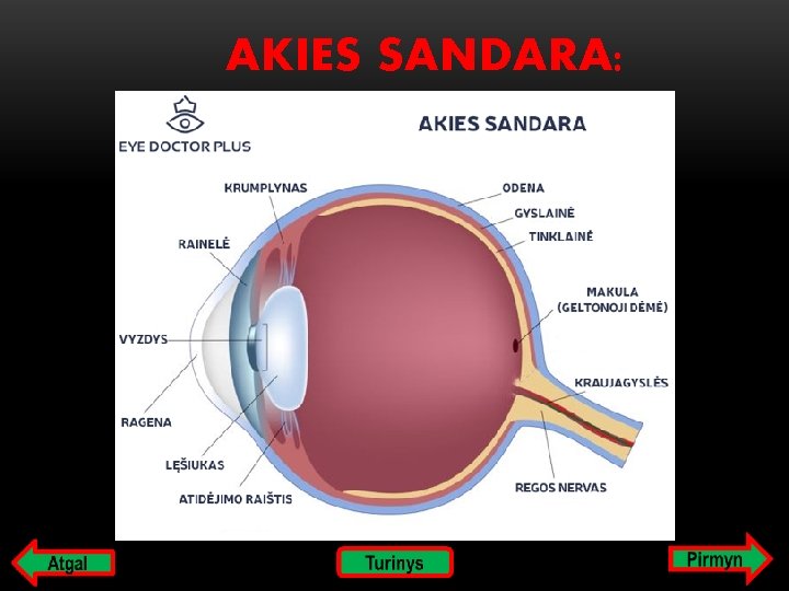 AKIES SANDARA: 