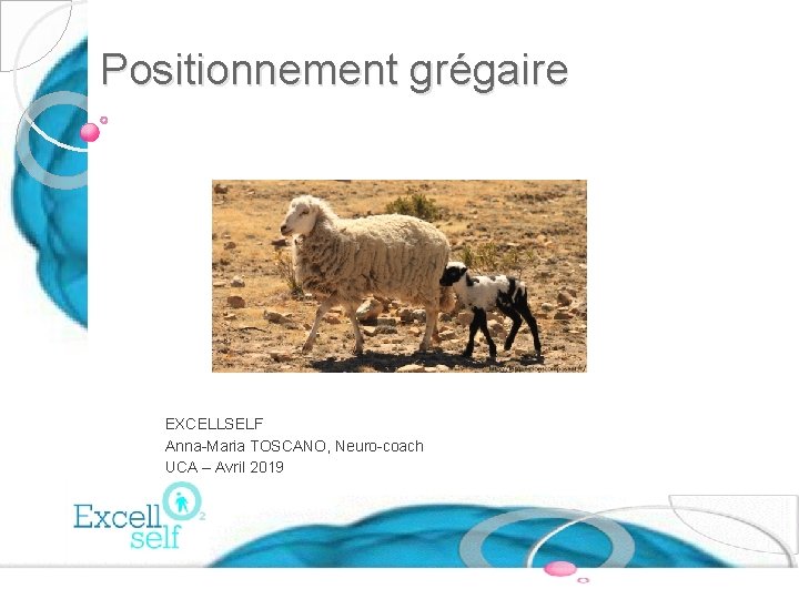 Positionnement grégaire EXCELLSELF Anna-Maria TOSCANO, Neuro-coach UCA – Avril 2019 