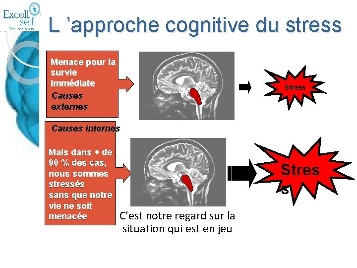 L ’approche cognitive du stress Menace pour la survie immédiate Causes externes Stress Causes