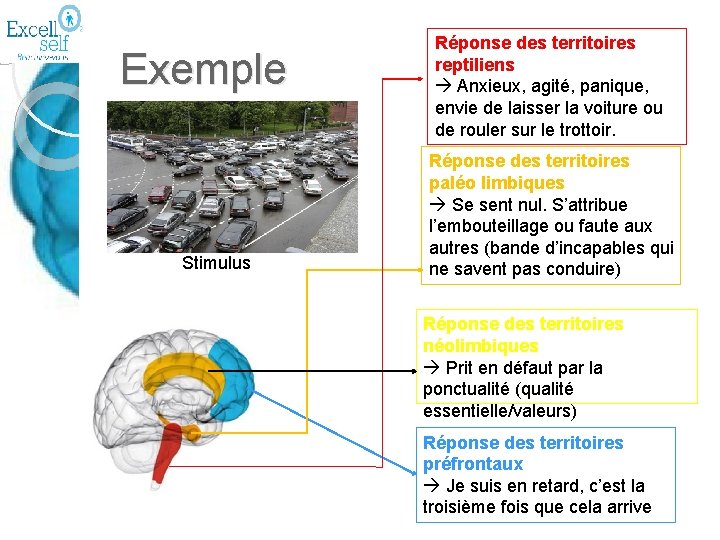 Exemple Stimulus Réponse des territoires reptiliens Anxieux, agité, panique, envie de laisser la voiture