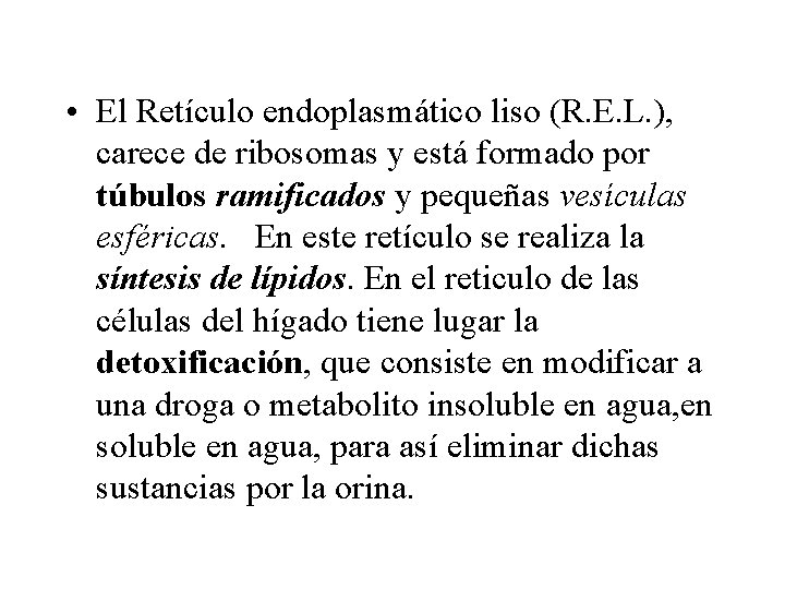  • El Retículo endoplasmático liso (R. E. L. ), carece de ribosomas y