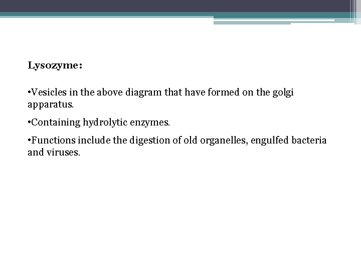Lysozyme: • Vesicles in the above diagram that have formed on the golgi apparatus.