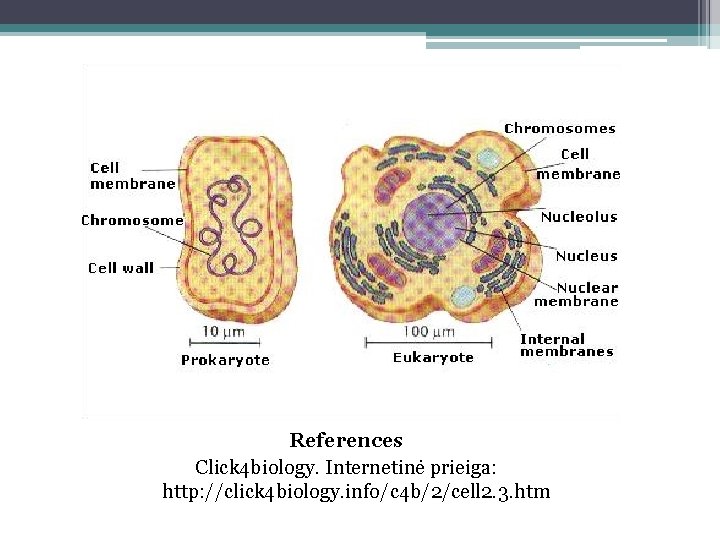 References Click 4 biology. Internetinė prieiga: http: //click 4 biology. info/c 4 b/2/cell 2.