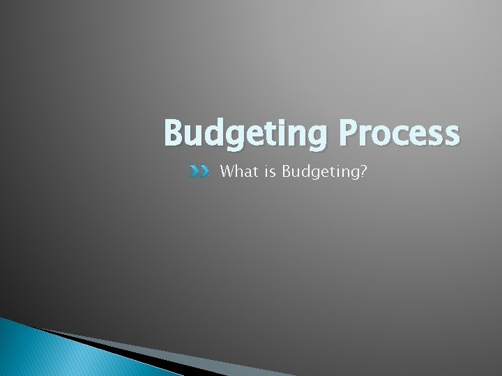 Budgeting Process What is Budgeting?  Budgeting Process What is Budgeting?