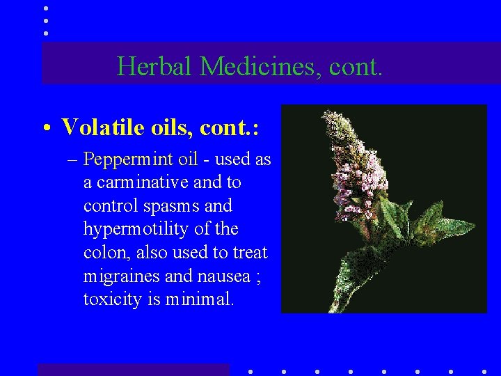 Herbal Medicines, cont. • Volatile oils, cont. : – Peppermint oil - used as