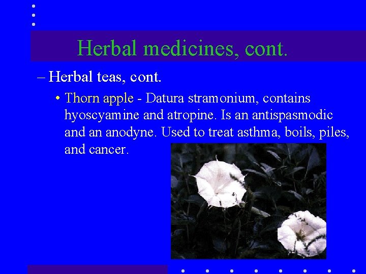 Herbal medicines, cont. – Herbal teas, cont. • Thorn apple - Datura stramonium, contains