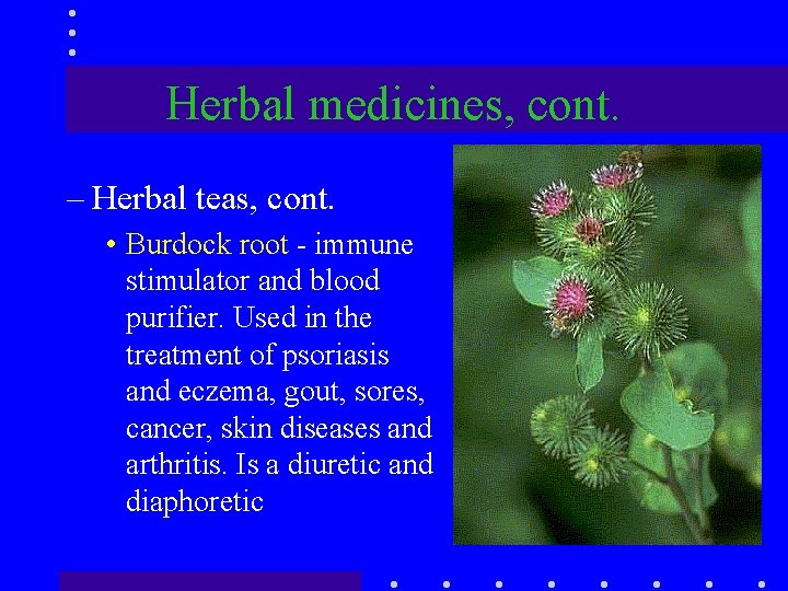 Herbal medicines, cont. – Herbal teas, cont. • Burdock root - immune stimulator and