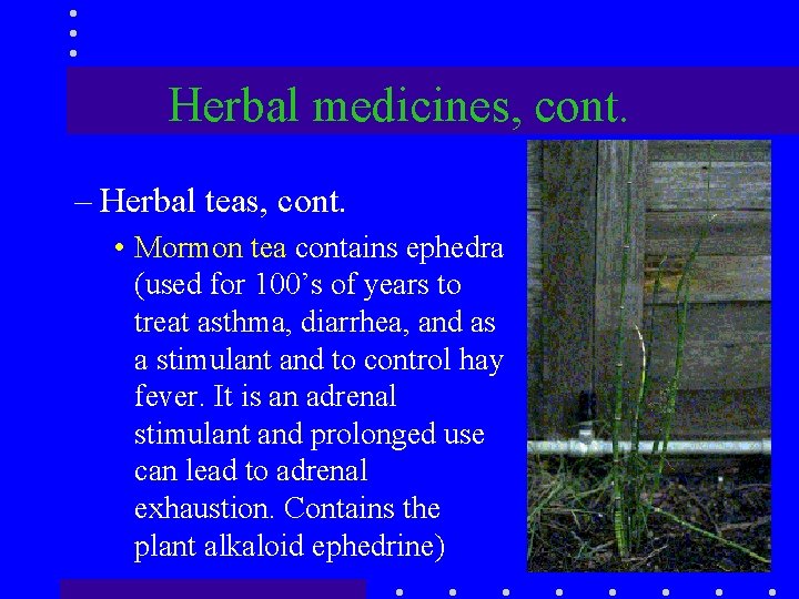 Herbal medicines, cont. – Herbal teas, cont. • Mormon tea contains ephedra (used for
