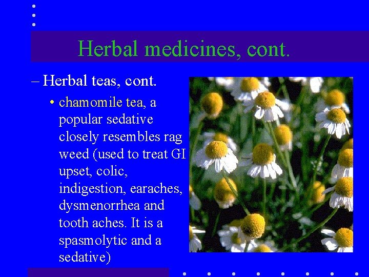 Herbal medicines, cont. – Herbal teas, cont. • chamomile tea, a popular sedative closely