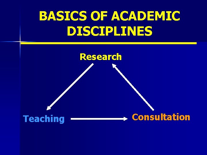 BASICS OF ACADEMIC DISCIPLINES Research Teaching Consultation 