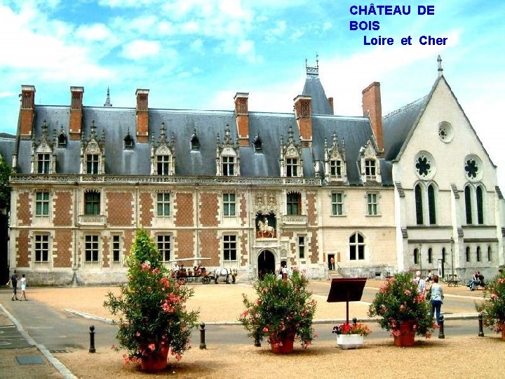CH TEAU DE BOIS Loire et Cher 