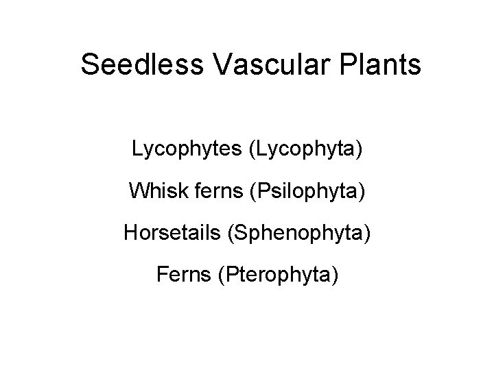 Seedless Vascular Plants Lycophytes (Lycophyta) Whisk ferns (Psilophyta) Horsetails (Sphenophyta) Ferns (Pterophyta) 