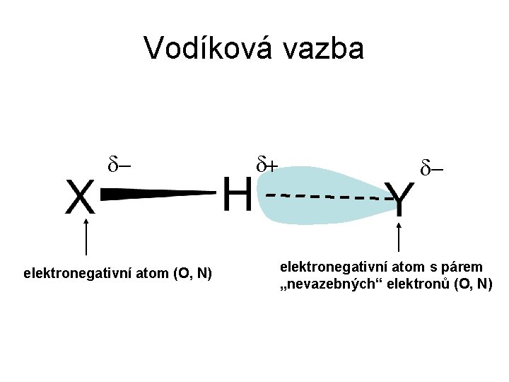Vodíková vazba d- elektronegativní atom (O, N) d+ d- elektronegativní atom s párem „nevazebných“