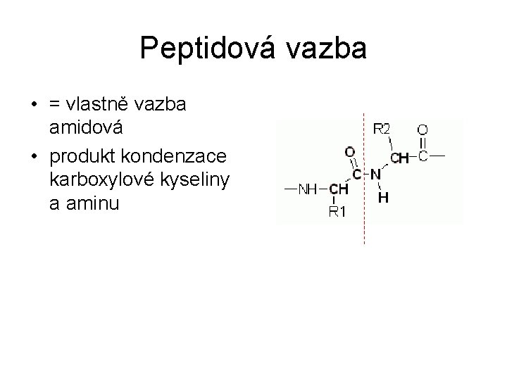 Peptidová vazba • = vlastně vazba amidová • produkt kondenzace karboxylové kyseliny a aminu
