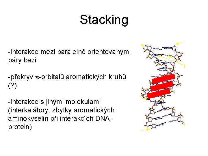 Stacking -interakce mezi paralelně orientovanými páry bazí -překryv p-orbitalů aromatických kruhů (? ) -interakce