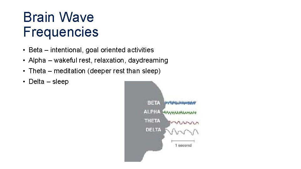 Brain Wave Frequencies • Beta – intentional, goal oriented activities • Alpha – wakeful