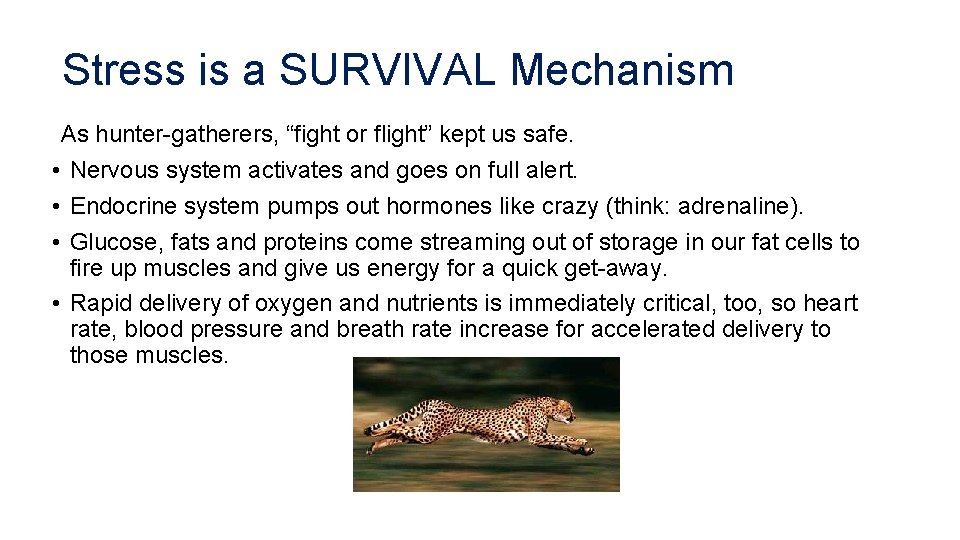 Stress is a SURVIVAL Mechanism As hunter-gatherers, “fight or flight” kept us safe. •