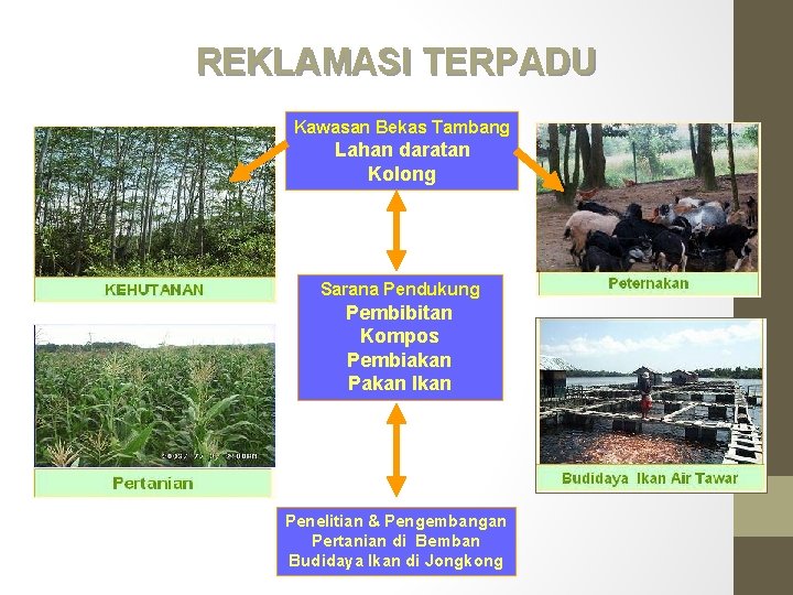 REKLAMASI TERPADU Kawasan Bekas Tambang Lahan daratan Kolong Sarana Pendukung Pembibitan Kompos Pembiakan Pakan