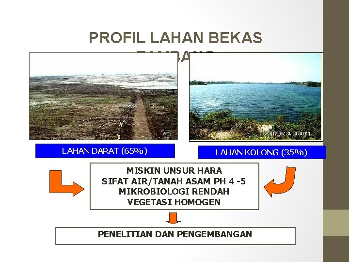 PROFIL LAHAN BEKAS TAMBANG LAHAN DARAT (65%) LAHAN KOLONG (35%) MISKIN UNSUR HARA SIFAT