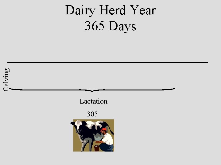 Calving Dairy Herd Year 365 Days Lactation 305 