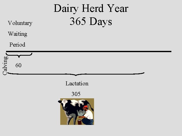 Voluntary Dairy Herd Year 365 Days Waiting Calving Period 60 Lactation 305 