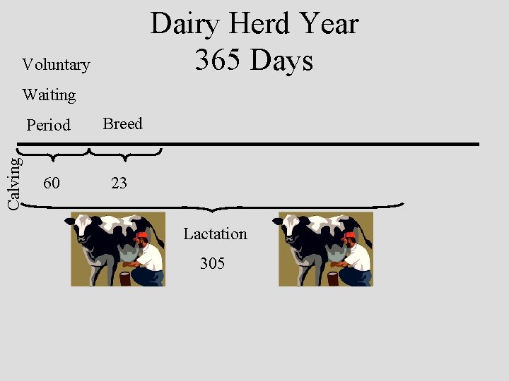 Dairy Herd Year 365 Days Voluntary Calving Waiting Period Breed 60 23 Lactation 305