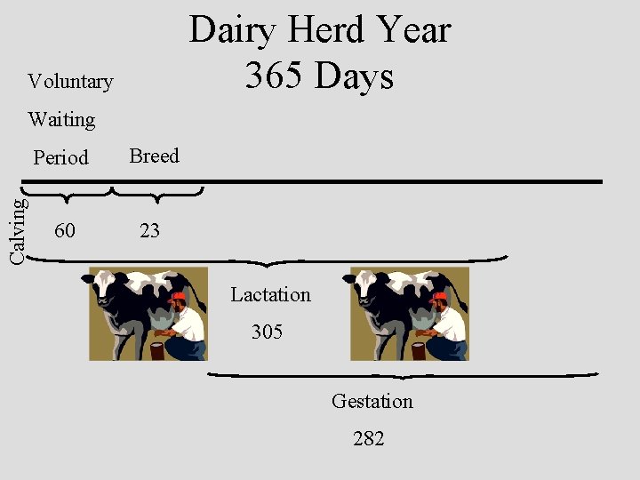 Dairy Herd Year 365 Days Voluntary Calving Waiting Period Breed 60 23 Lactation 305