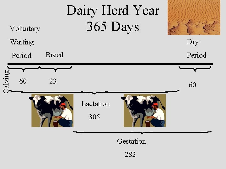 Dairy Herd Year 365 Days Voluntary Dry Calving Waiting Period Breed 60 23 Period