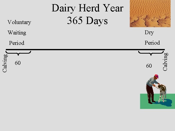 Dry Period Calving Waiting 60 60 Calving Voluntary Dairy Herd Year 365 Days 