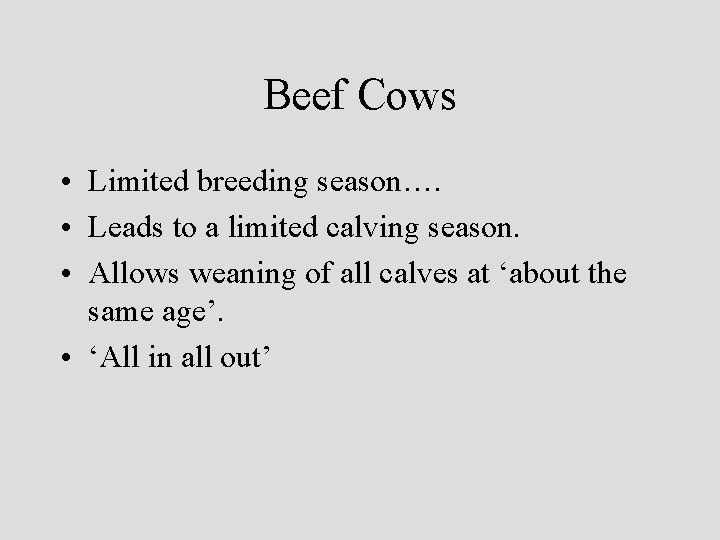 Beef Cows • Limited breeding season…. • Leads to a limited calving season. •