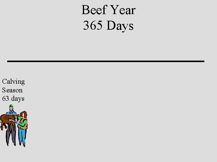 Beef Year 365 Days Calving Season 63 days 