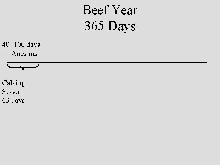 Beef Year 365 Days 40 - 100 days Anestrus Calving Season 63 days 