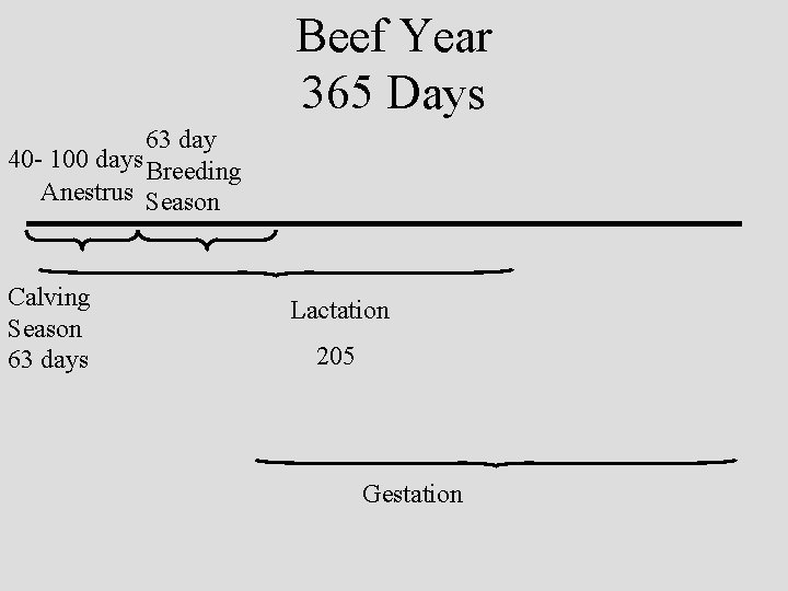 Beef Year 365 Days 63 day 40 - 100 days Breeding Anestrus Season Calving