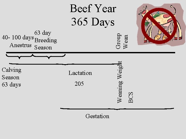 Beef Year 365 Days 205 Gestation BCS Lactation Weaning Weight Calving Season 63 days