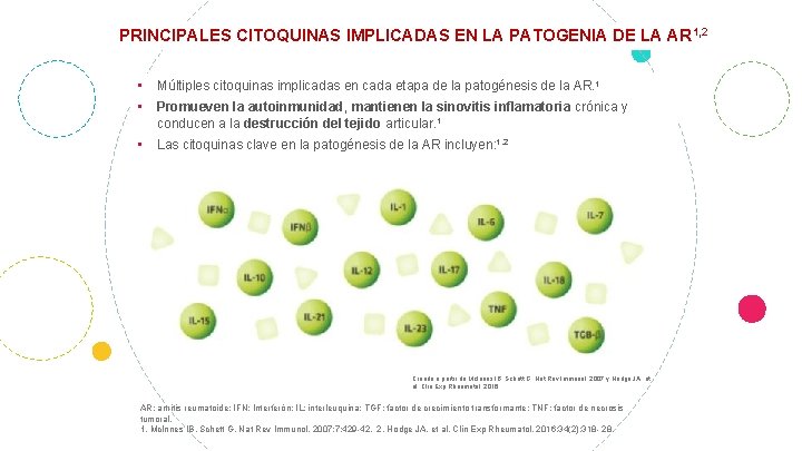 PRINCIPALES CITOQUINAS IMPLICADAS EN LA PATOGENIA DE LA AR 1, 2 • Múltiples citoquinas