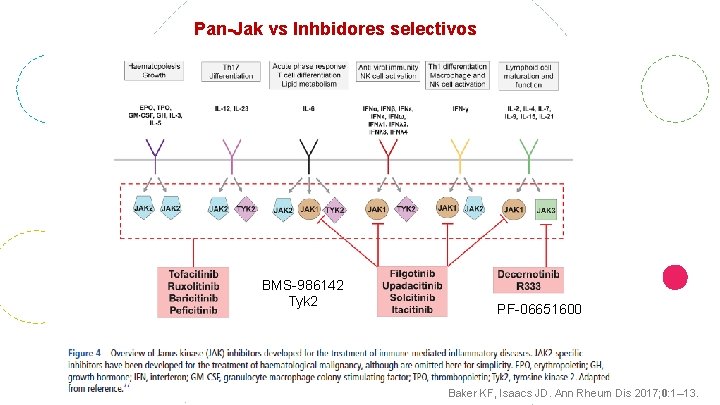 Pan-Jak vs Inhbidores selectivos BMS-986142 Tyk 2 PF-06651600 Baker KF, Isaacs JD. Ann Rheum