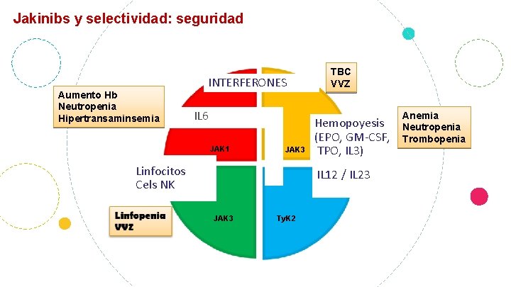 Jakinibs y selectividad: seguridad Aumento Hb Neutropenia Hipertransaminsemia INTERFERONES IL 6 JAK 1 JAK