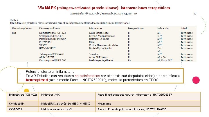 Vía MAPK (mitogen-activated protein kinase): intervenciones terapeúticas - Potencial efecto antinflamatorio En AR Estudios