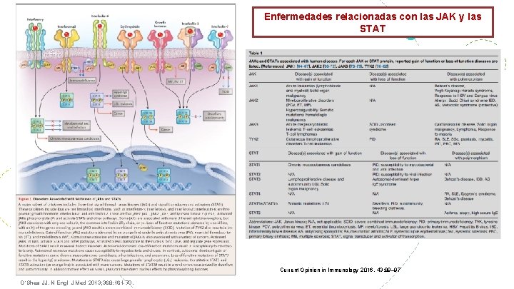 Enfermedades relacionadas con las JAK y las STAT Current Opinion in Immunology 2016, 43: