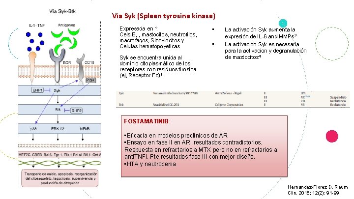 Vía Syk (Spleen tyrosine kinase) Expresada en 1: Cels B, , mastocitos, neutrofilos, macrofagos,