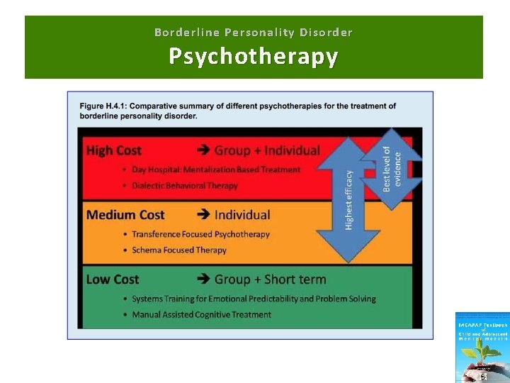 Borderline Personality Disorder Psychotherapy 