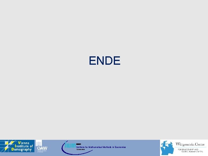 ENDE Institute for Mathematical Methods in Economics 