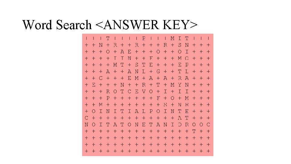 Word Search <ANSWER KEY> 