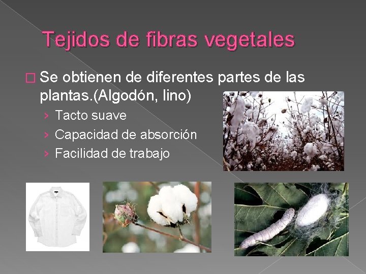 Tejidos de fibras vegetales � Se obtienen de diferentes partes de las plantas. (Algodón,