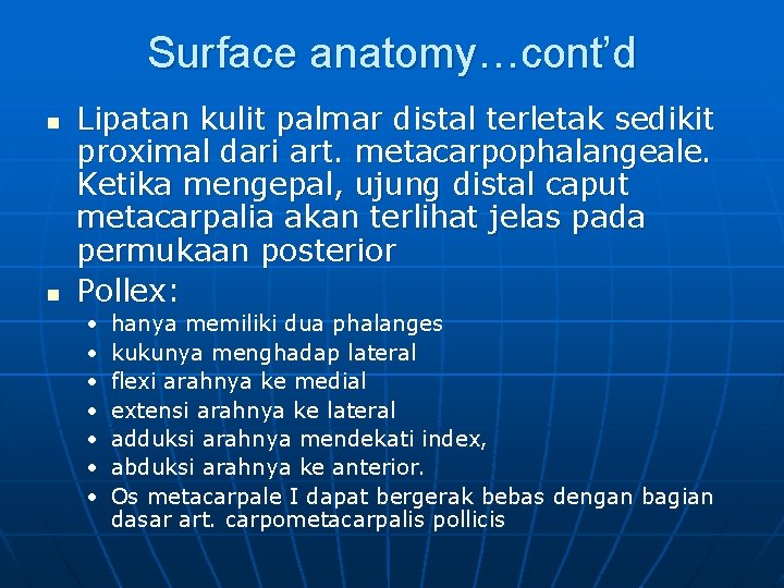 Surface anatomy…cont’d n n Lipatan kulit palmar distal terletak sedikit proximal dari art. metacarpophalangeale.