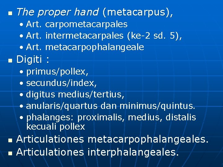 n The proper hand (metacarpus), • Art. n carpometacarpales intermetacarpales (ke-2 sd. 5), metacarpophalangeale