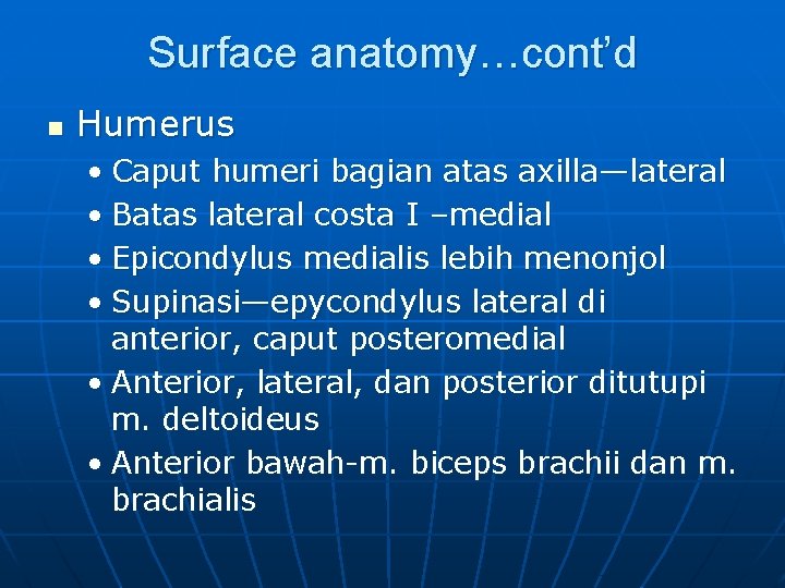 Surface anatomy…cont’d n Humerus • Caput humeri bagian atas axilla—lateral • Batas lateral costa