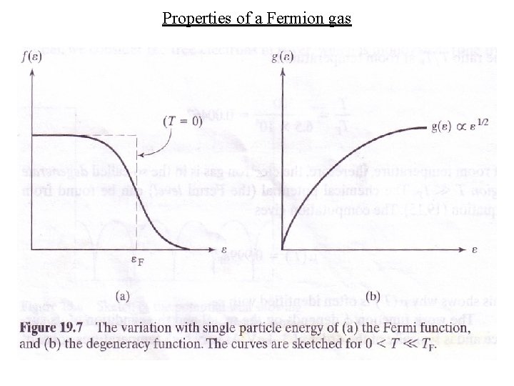 Properties of a Fermion gas 