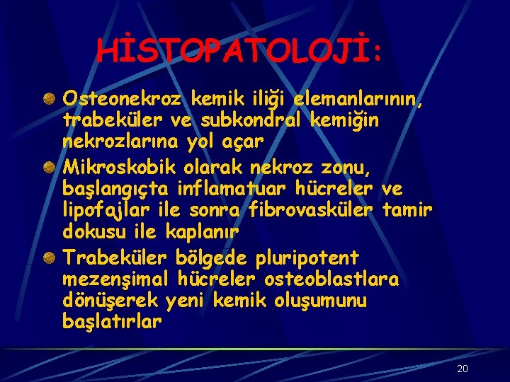 HİSTOPATOLOJİ: Osteonekroz kemik iliği elemanlarının, trabeküler ve subkondral kemiğin nekrozlarına yol açar Mikroskobik olarak